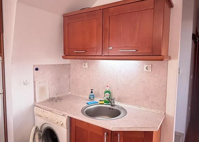 Maisonette On The Slope In Manastir 3 * Pamporovo