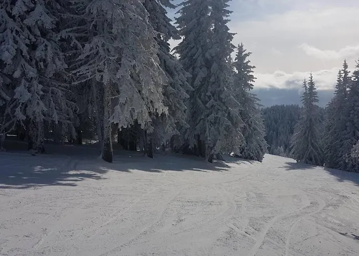 Apartment Maisonette On The Slope In Manastir 3 *